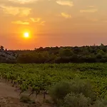 De Castigno - Wine &