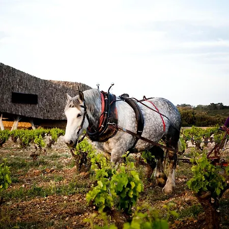 De Castigno - Wine & 5*