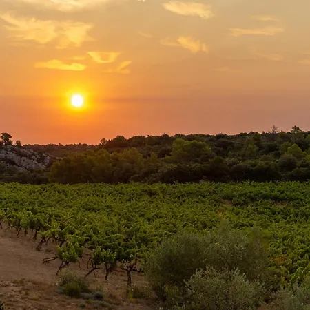 De Castigno - Wine &