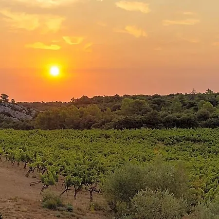 De Castigno - Wine & Assignan