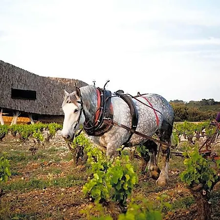 De Castigno - Wine & מלון 5*