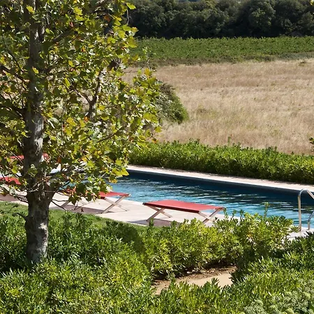 Village Castigno - Wine & Assignan