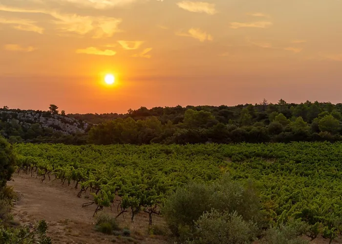 Village Castigno - Wine Hotel&Resort